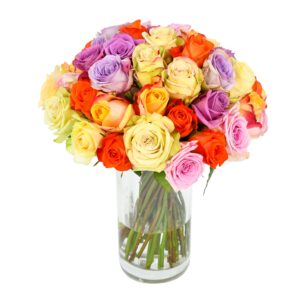 Mixed Roses