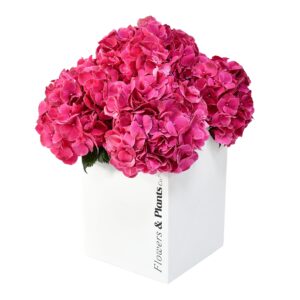Passion For Pink