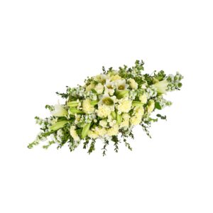 White Double Ended Spray